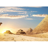 Как выбрать идеальный товар: 5 правил осознанного шопинга